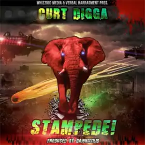 Instrumental: Curt Digga - Stampede (Produced By Dawhizzkid)
